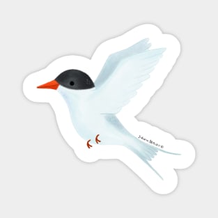 Arctic Tern Bird Magnet