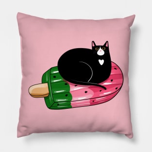 Watermeowlon Floatie Pillow