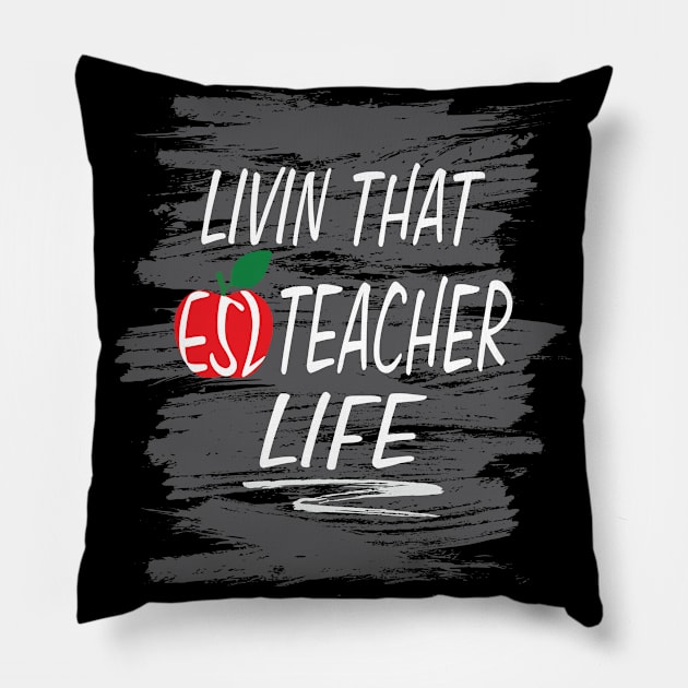 Chinese English Student Gift Oceans Apart ESL Teacher Pillow by PomegranatePower