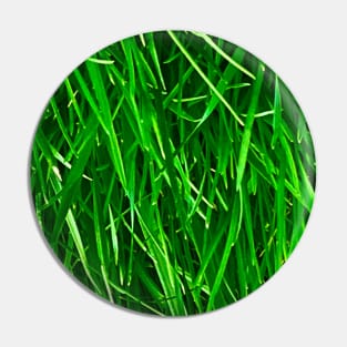 Grassy field Pin