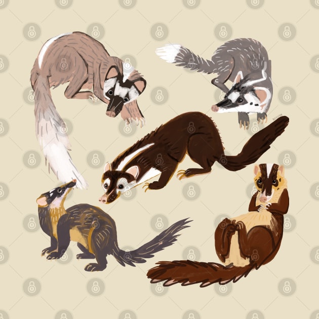 Ferret Badger Species by belettelepink