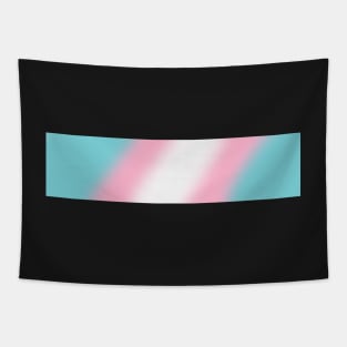 Trans Pride Clothes Tapestry