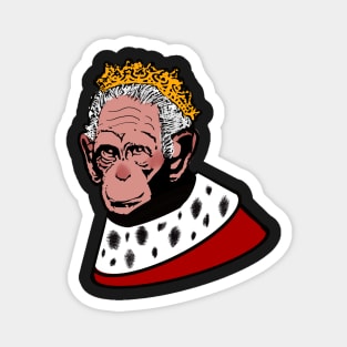 CROWNED MONKEY Magnet