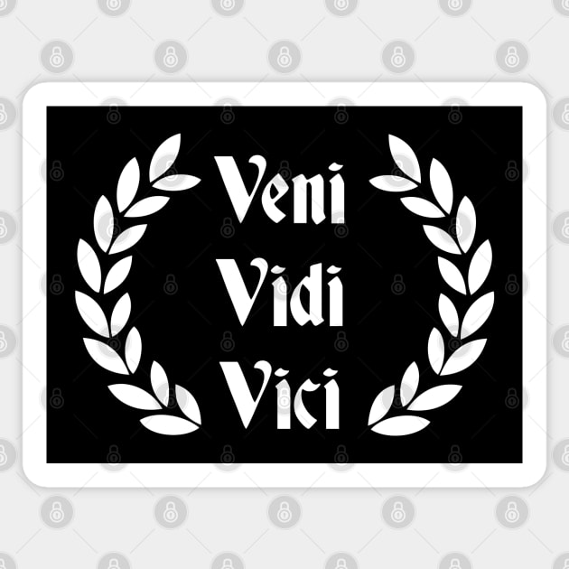 Veni Vidi Vici - Latin saying' Sticker