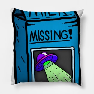 Missing! Pillow