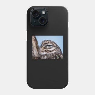 Little owl perched on at tree trunk Phone Case