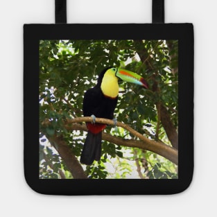 Keel-billed Toucan Tote