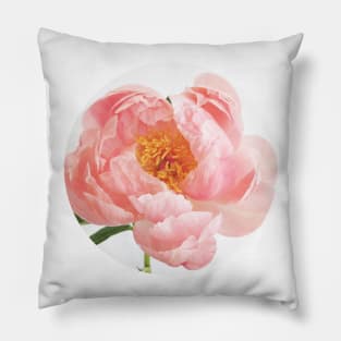 Blush Pillow