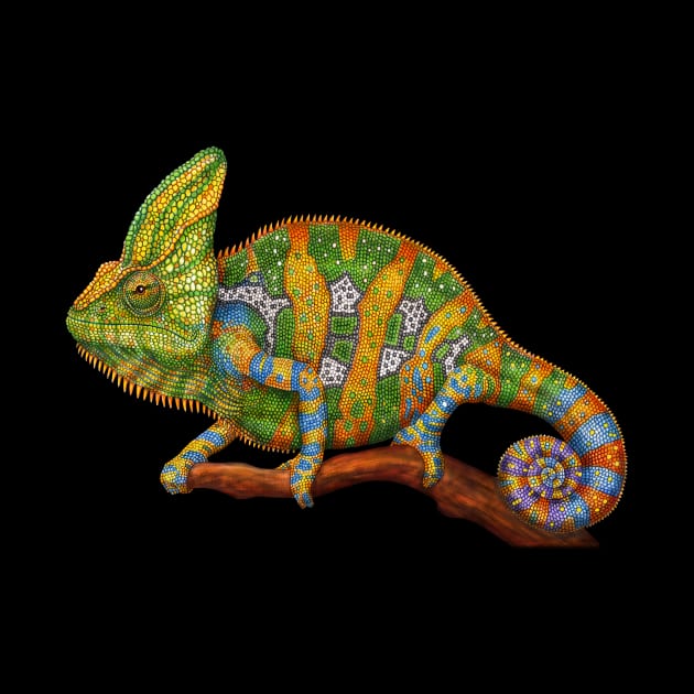 Veiled Chameleon by Tim Jeffs Art