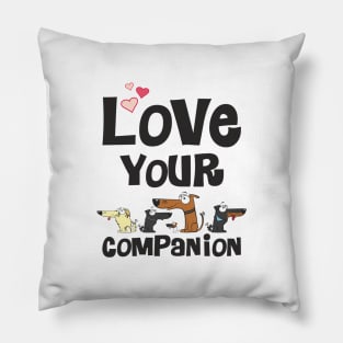 Love your companion Pillow