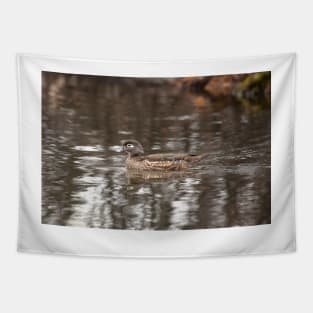 Female Wood Duck Tapestry