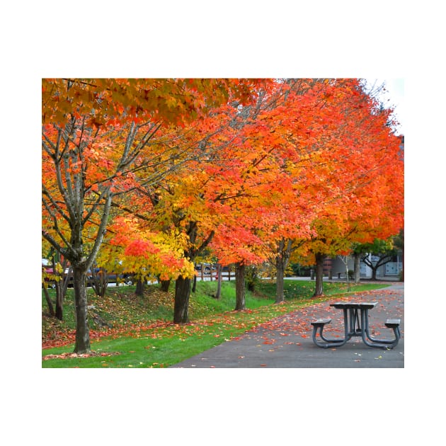 Picnic Table by KirtTisdale