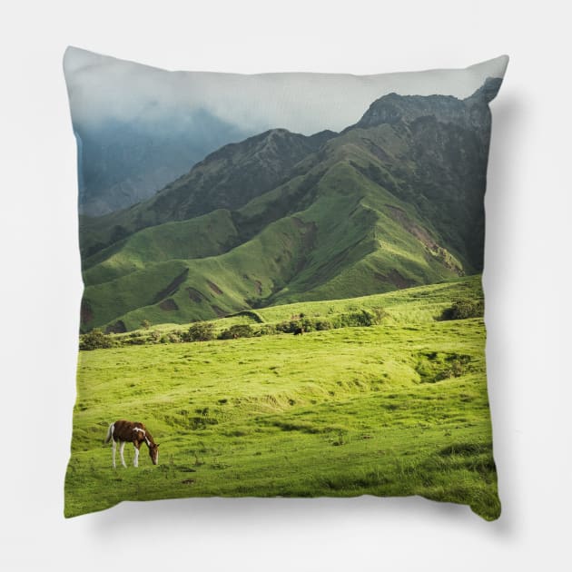 Japanese Countryside Pillow by opticpixil