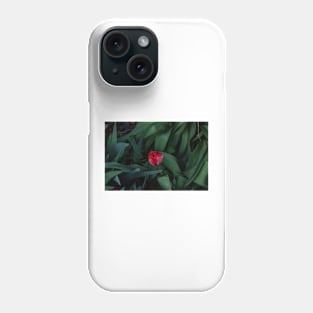 Single Tulip waiting Phone Case