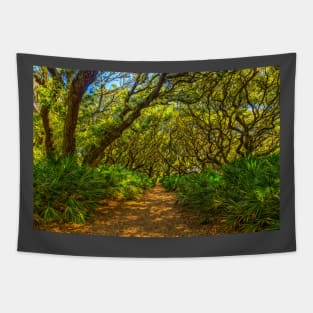 Cumberland Island National Seashore Tapestry