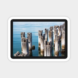 Old wooden piles in clear blue water in Melbourne, Australia. Magnet