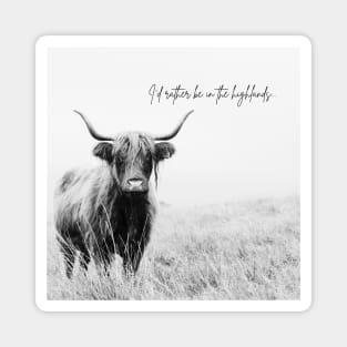 Highland cow photo Magnet