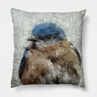 Eastern Bluebird Pillow