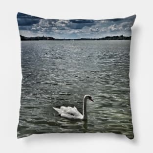 White beautiful swan on Danube river in Belgrade Pillow