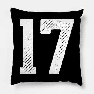 Rough Number 17 Pillow