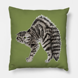 Scared cat Pillow