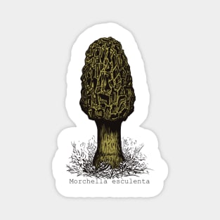 Yellow Morel Magnet