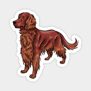 Irish Red Setter Dog Magnet