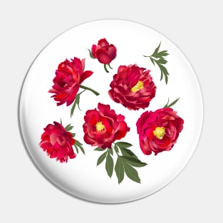 red peony on white Pin