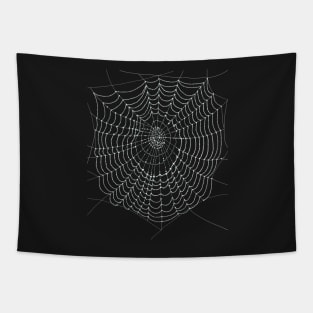 Pretty Dew-Covered Web Tapestry