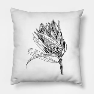 Protea leaning scientific nature black ink pen drawing illustration Pillow