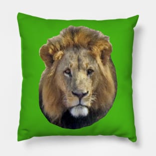 Lion Pillow