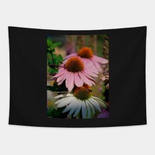 Echinacea Purpurea with Small Butterfly Tapestry