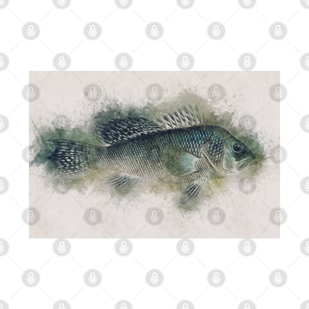 Sea Bass Watercolor Art for the Fishing Lovers and Anglers / Gifts for Fisherman by Naumovski