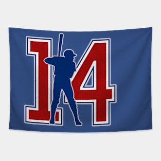 14 - Mr Cub Tapestry