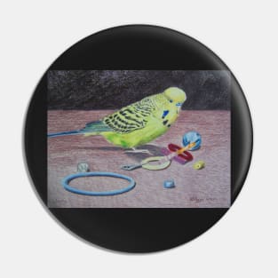 Budgie in coloured pencil Pin