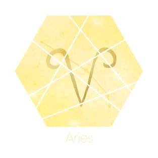 Aries zodiac sign T-Shirt