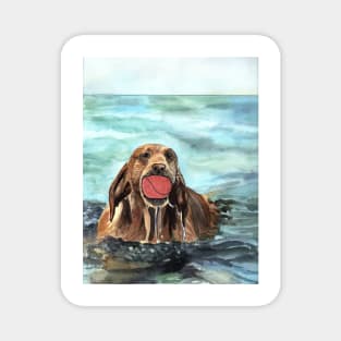 Dog with Ball in the Water Watercolor Art Magnet