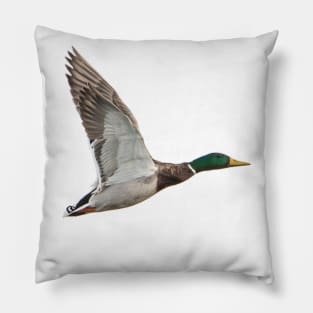 Mallard Duck Pillow