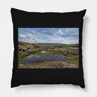 Cow Green Weir and Fells Pillow