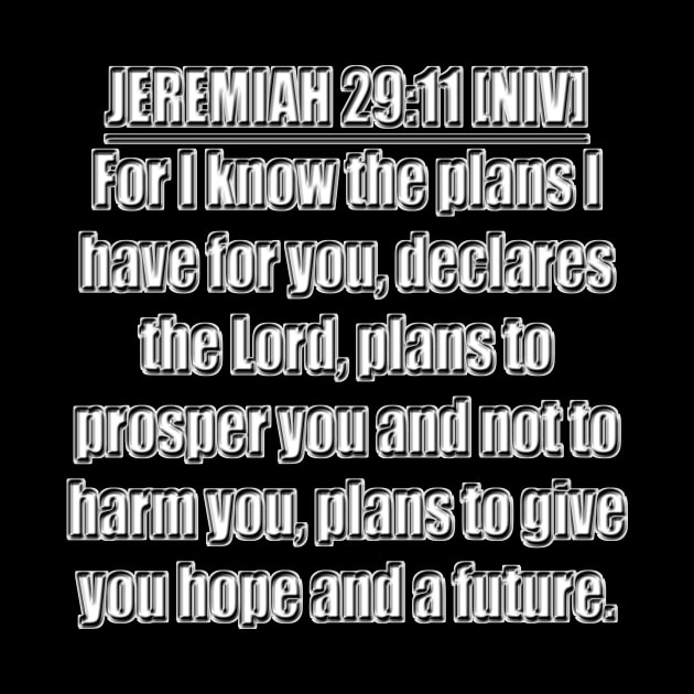 Jeremiah 29:11 Bible Verse NIV Text by Holy Bible Verses