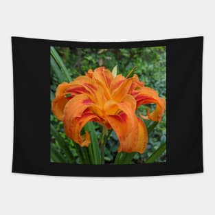 Orange Lily Side View Photographic Image Tapestry