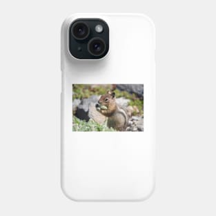 Cascade golden-mantled ground squirrel (Spermophilus saturatus) eating a flower Phone Case