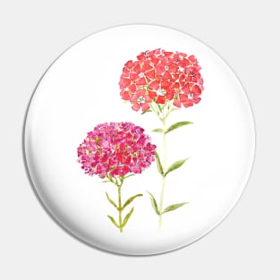 red pink purple Sweet William flower Pin