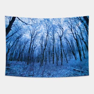 Blue Winter Forest Tapestry