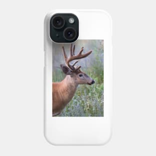 White-tailed deer Buck Phone Case