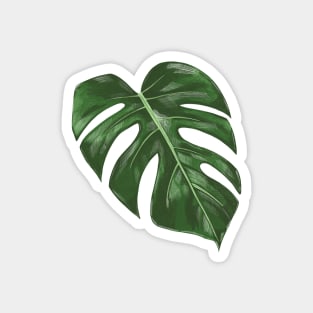 Monstera House Plant Magnet