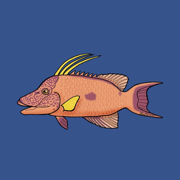 Hogfish by HonuHoney