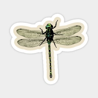 Dragonfly Magnet