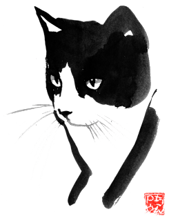 cat black and white Magnet