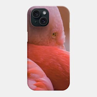 Flamingo Phone Case